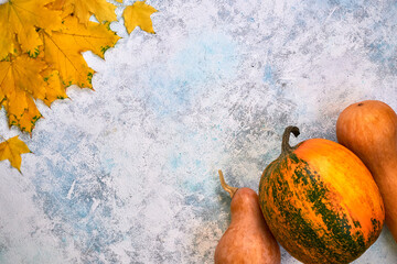 Pumpkin assorted on light blue background. Autumn postcard. Top view Flat lay