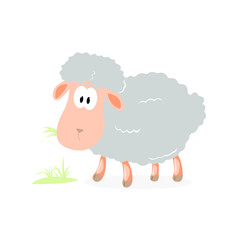 sheep drawing for a postcard