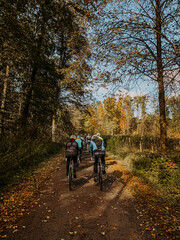 Group of cyclist riding along a road in autumn forest. Road cycling in forest.