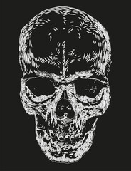 Vector outline watercolor brush drawing of abstract human scull