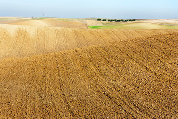 Fototapeta premium Campo en Burujón. Toledo. España. Europa