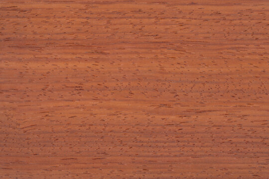 Padouk Exotic wood panel texture pattern