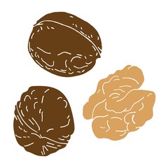 Vector illustration of a set of walnuts