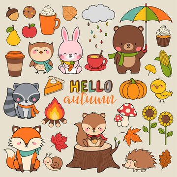 Set of cute woodland animals and autumn elements illustration.