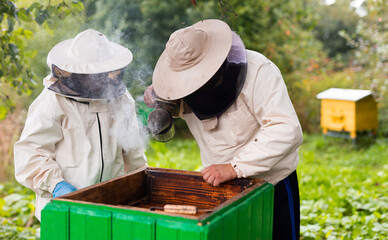 Experienced beekeeper teaches his son caring for bees. Concept of transfer of experience