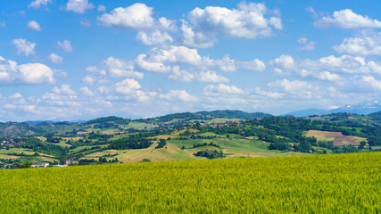 Obraz premium Landscape near the medieval castle of Torrechiata, Parma province, Italy
