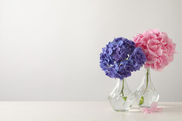 Beautiful bright hortensia flowers on white wooden table against light background. Space for text