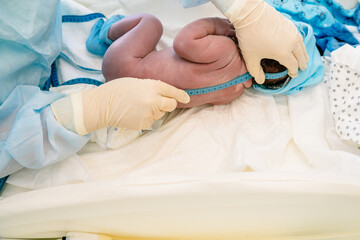 Medical examination of the newborn in the first few minutes of life. Newborn baby after delivery in labor room. Doctor and midwife measure height newborn boy after birth in hospital.