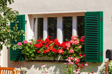 Fototapeta na wymiar Blumenkasten mit roten Geranien an einem Fenster, Deutschland, Europa