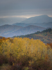 splendid autumn day on mountain paths