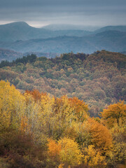 splendid autumn day on mountain paths