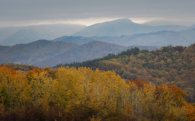 splendid autumn day on mountain paths