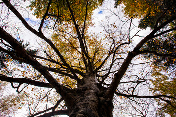 Autumn in Ordesa and Monte Perdido National Park, Spain
