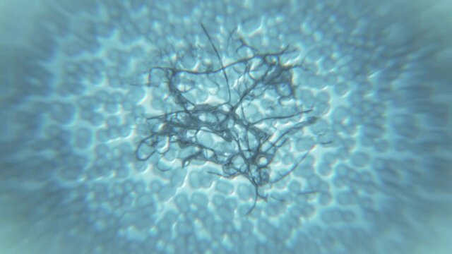 Cells in liqiuid under microscope close up macro view. Virus infection, human cells expansion. Interstitial fluid, bacterial background. Medical research. Scientific concept. 3D Render 4K animation