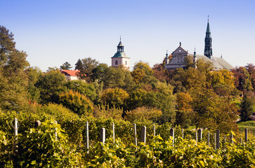 Jesienny Sandomierz - Widok na Katedrę  i Winnice	