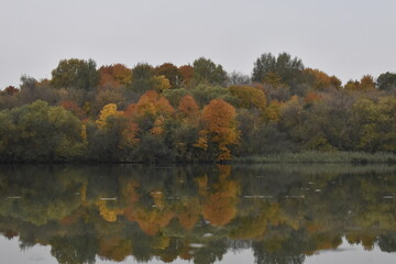 Осень. Отражение в воде
Autumn. Reflection in water