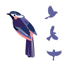 oiseaux vectorisé stylisé