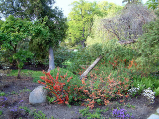 Asian park in Europe. 
Beautiful, incredibly refined and arranged in the Asian style garden. Full of greenery, stones and water. With a gentle hum, it calms our nerves.