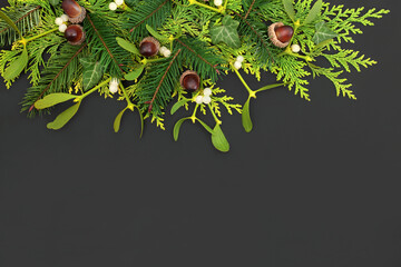 Natural winter flora with cedar, mistletoe, ivy leaves and acorns. Festive solstice pagan...