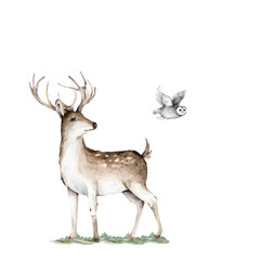 Deer with pine forest and owl, watercolor hand drawn illustration isolated on white background