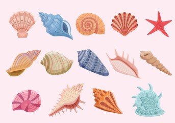 Ocean shells set. Colorful starfish and spiral scallop with fancy tracery decoration of interior and modern aquarium bright shells of mollusks from sea floor. Cartoon exotic vector.