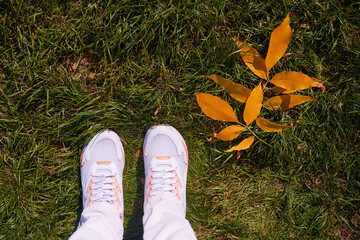 Top view fall background, feet on green grass with yellow leaves with copy space. female legs in sneakers on withered grass.vacation