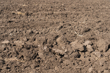 A plowed field is ready for sowing