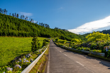 Traditional road with the green landscape and blue cloudy sky in the island of São Miguel in the...