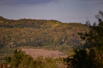 autumn landscape on sunny day with colorfully forest meadow and trees