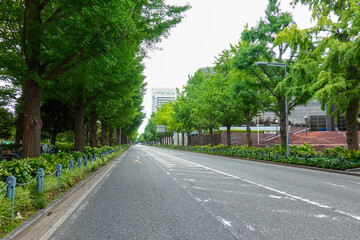 Fototapeta na wymiar 閑散とした山下公園通り　横浜の風景（神奈川県横浜市）