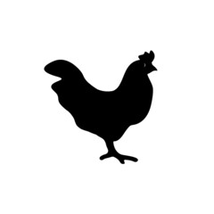 Chicken vector illustration. Badges and design elements for chicken making. Vector illustration - Vector