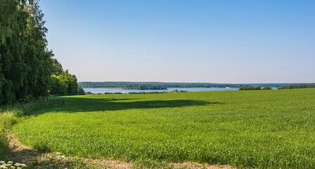 Landscape with river, field, forest against blue sky in summer