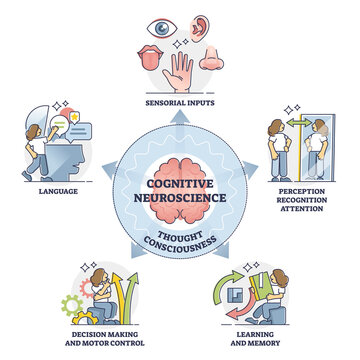 Cognitive Neuroscience And Thought Consciousness Processes, Outline Diagram. Sensory Input, Language, Decision Making And Motor Control, Learning And Memory, Self Perception, Recognition And Attention