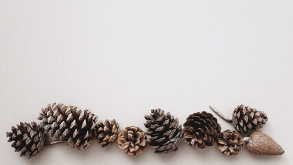 Cones of various shapes and sizes are laid out on the bottom on a light background. New Year card. Top view