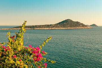 Mountain island in the waters of the Mediterranean Sea with a beautiful bush of pink flowers in the foreground