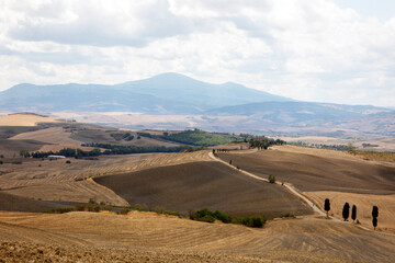 Fototapeta premium Val d' Orcia (SI), Italy - August 05, 2021: Val d' Orcia landscape, Tuscany, Italy
