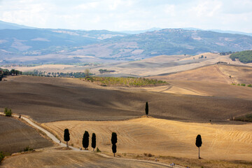 Val d' Orcia (SI), Italy - August 05, 2021: Val d' Orcia landscape, Tuscany, Italy