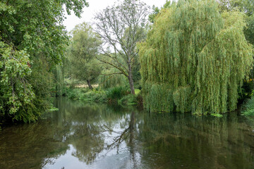 Fototapeta na wymiar view of the River Avon at Salisbury Wiltshire England