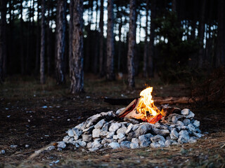Bonfire in nature near the forest evening rest