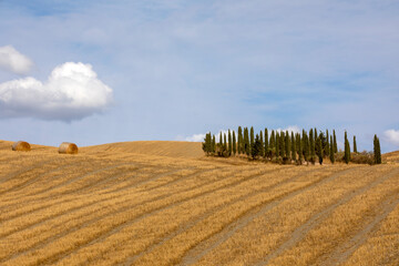 Val d' Orcia (SI), Italy - August 05, 2021: Typical landscape in val d' Orcia, Tuscany, Italy