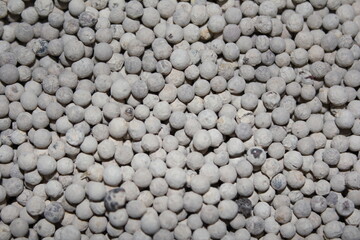 Closeup background dried white peppercorns