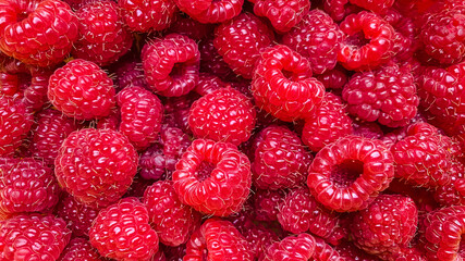Texture background from a large number of raspberries.