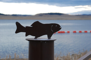 A silhouette of a trout 