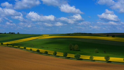 Obraz premium Wildlife Nature Life Travel Tourism