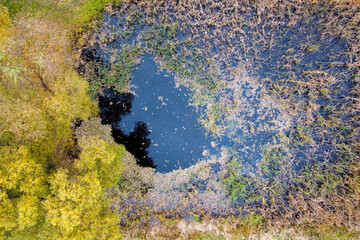 Aerial view of autumn pond with top trees yellow foliage in park