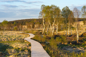Les Haute Fagnes Part The