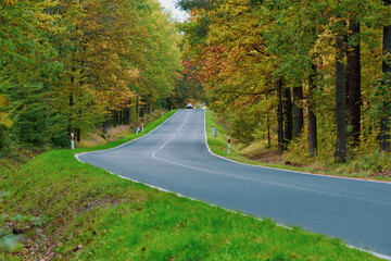 Asfaltowa droga w lesie. Jest jesień, na drzewach są żółte liście.