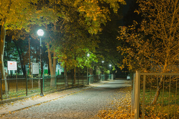 Ustronna, peryferyjna uliczka w nocy.