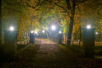 Most nad rzeką Czerna w parku w miejscowości Iłowa w Polsce. Jest noc, ciemności rozświetlane są przez latanie elektryczne. - obrazy, fototapety, plakaty