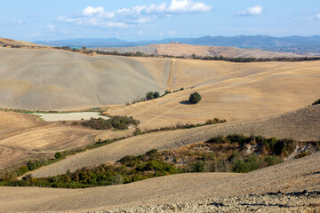 Val d' Orcia (SI), Italy - August 05, 2021: Typical landscape in val d' Orcia, Tuscany, Italy